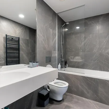 Apartman Vision - Exclusive Herastrau Apt With Parking